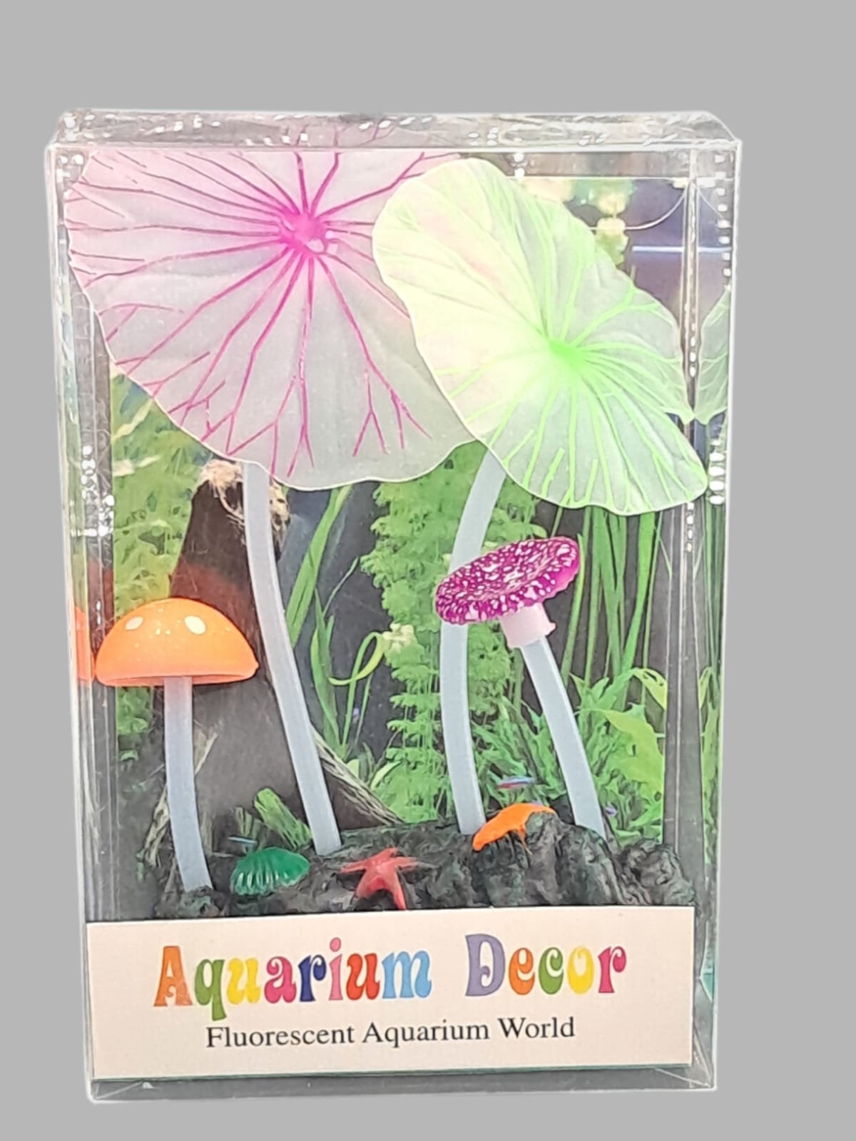 Plantas hongo Fluorescente