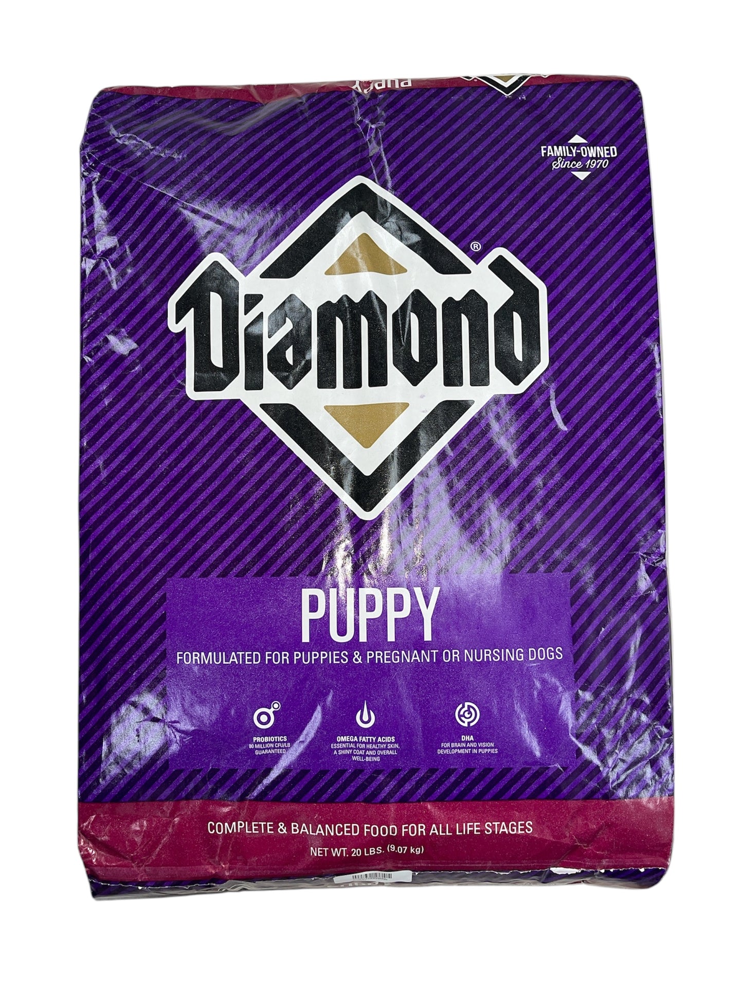 Diamond Puppy