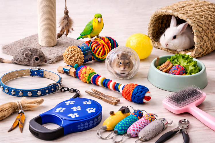 Accesorios y Paseo