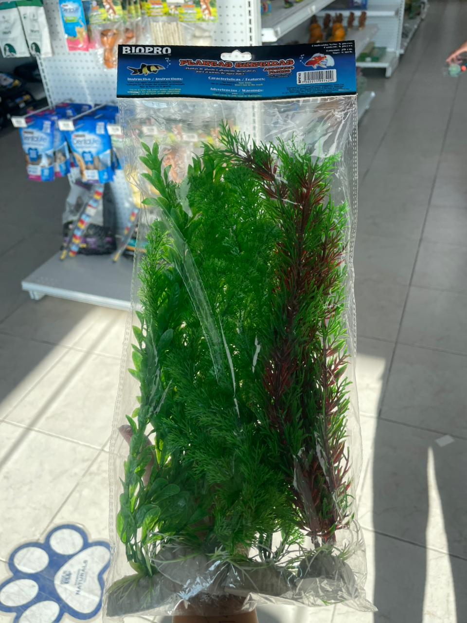 Plantas Surtidas